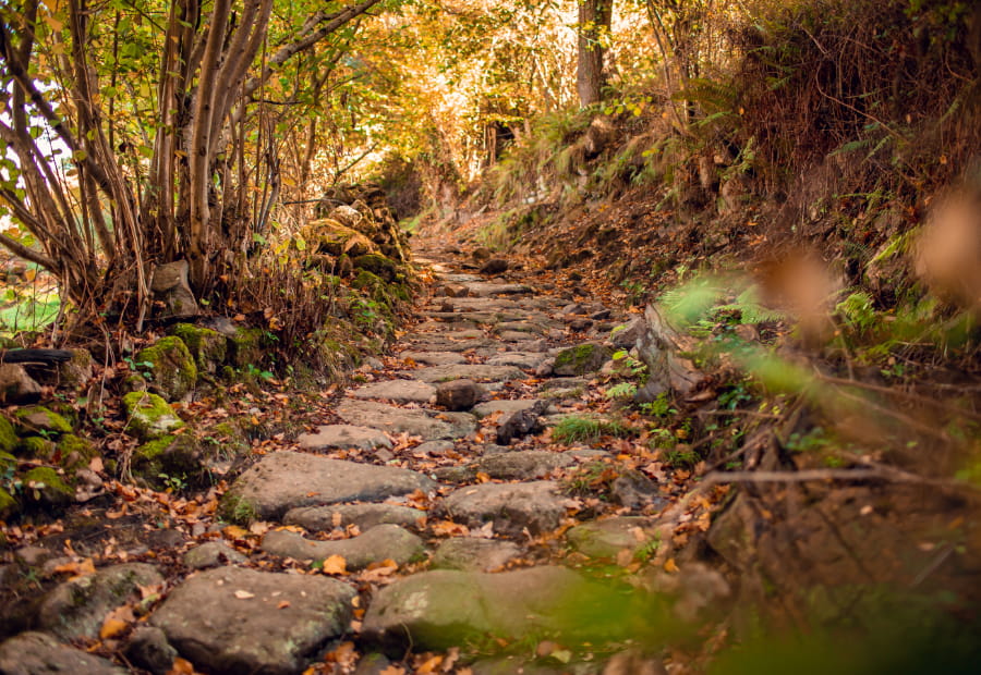 apartamentos la albarca Sendero de piedras en medio del bosque